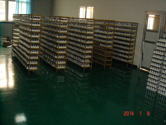 Beijing Cheng-cheng Weiye Ultrasonic Science &amp; Technology Co.,Ltd linha de produção da fábrica